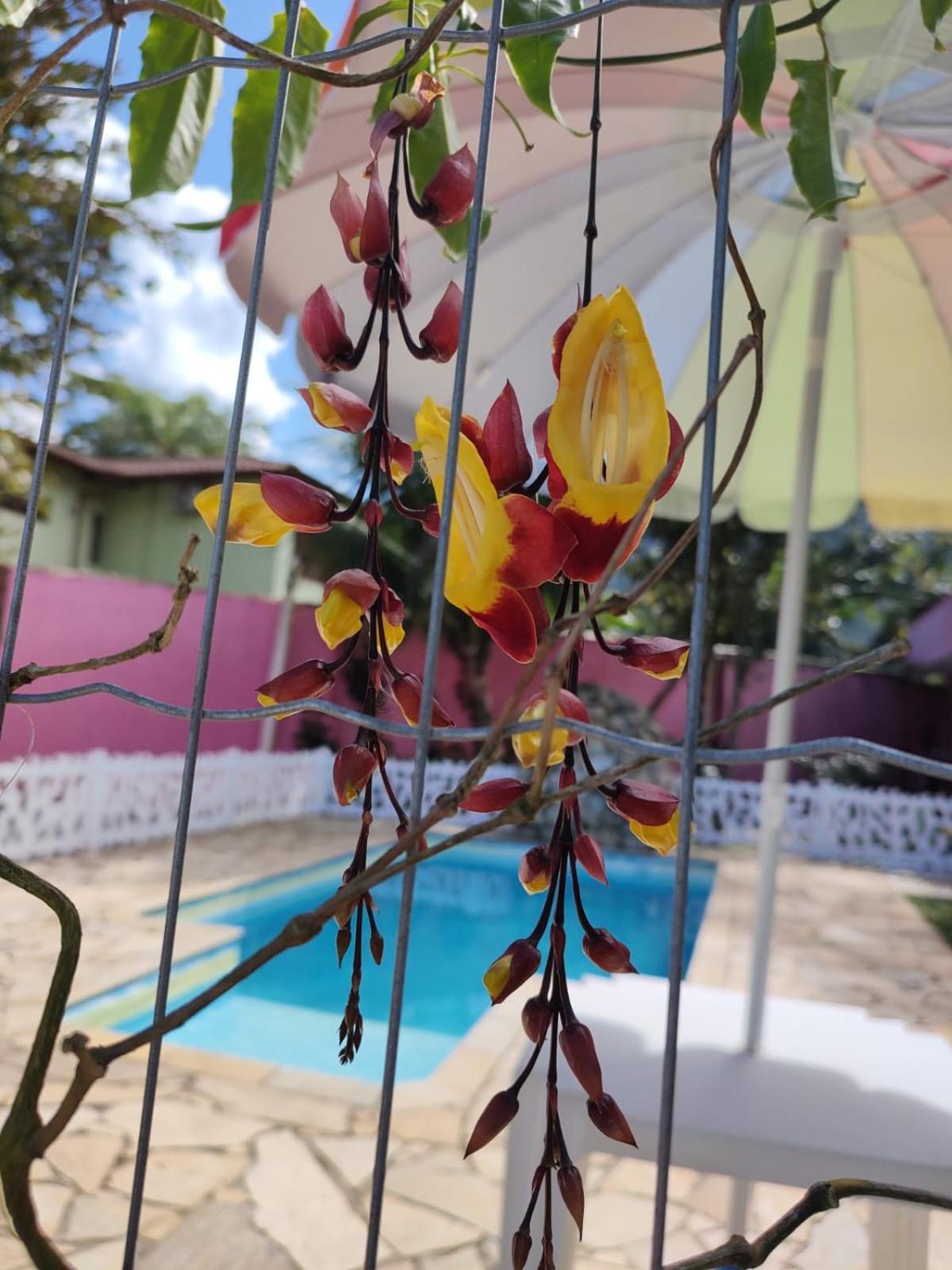 Pousada Nova Primavera Ubatuba Eksteriør billede